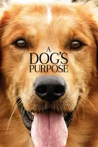 A Dog's Purpose_peliplat