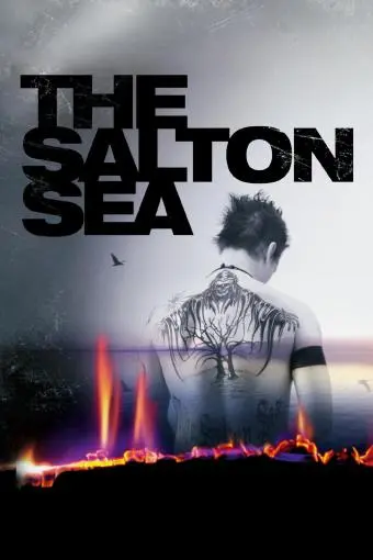 The Salton Sea_peliplat