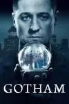 Gotham_peliplat