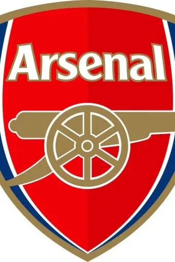 Arsenal F.C._peliplat