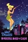 The Magical World of Disney_peliplat
