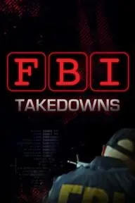 FBI Takedowns_peliplat