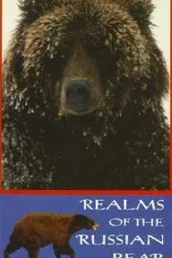 Realms of the Russian Bear_peliplat
