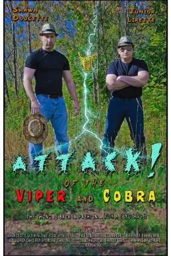 Attack! of the Viper and Cobra_peliplat