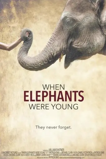 When Elephants Were Young_peliplat