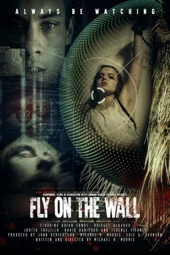 Fly on the Wall_peliplat
