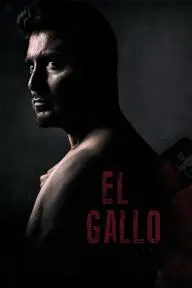 El Gallo_peliplat