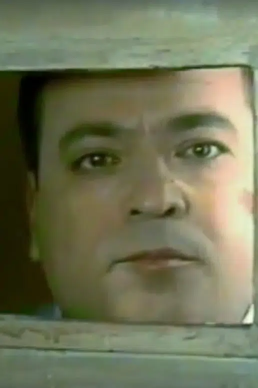 Hristos Valavanidis