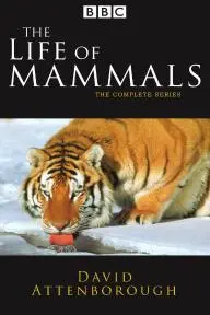The Life of Mammals_peliplat