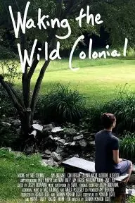 Waking the Wild Colonial_peliplat