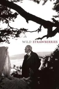 Wild Strawberries_peliplat