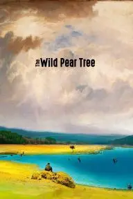 The Wild Pear Tree_peliplat
