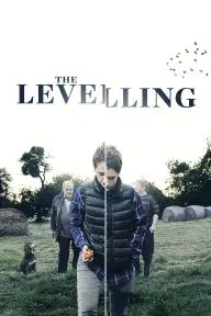 The Levelling_peliplat
