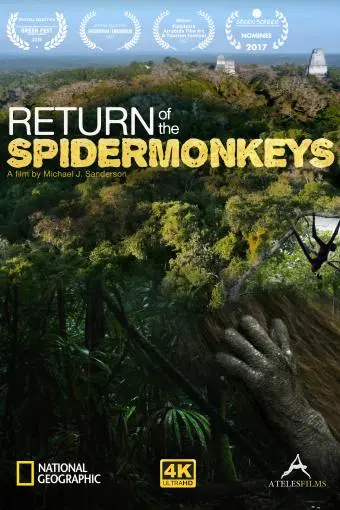 Return of the Spider Monkeys_peliplat