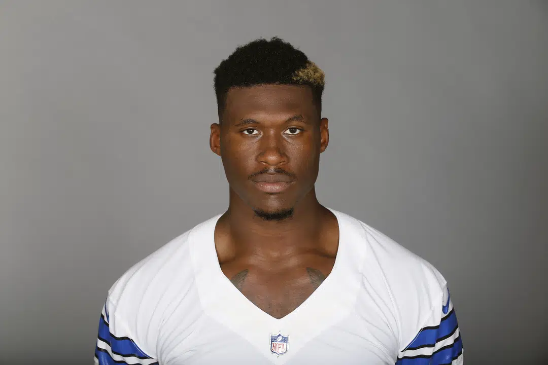 David Irving