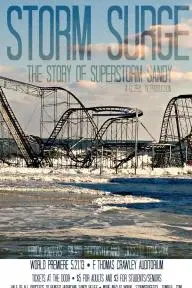Storm Surge: The Story of Superstorm Sandy_peliplat