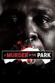 A Murder in the Park_peliplat