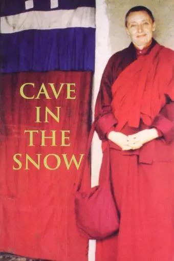 Cave in the Snow_peliplat