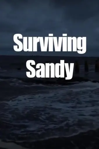 Surviving Sandy_peliplat