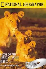 Lions of the African Night_peliplat