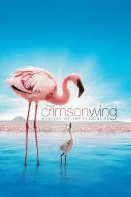 The Crimson Wing: Mystery of the Flamingos_peliplat