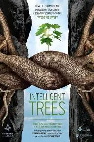 Intelligent Trees_peliplat