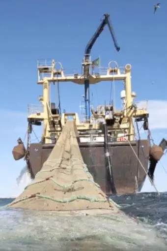 Lost at Sea: North America's Vanishing Fishing Industry_peliplat