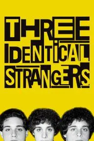 Three Identical Strangers_peliplat