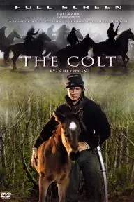 The Colt_peliplat