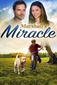 Marshall's Miracle_peliplat