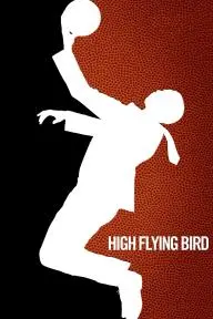 High Flying Bird_peliplat