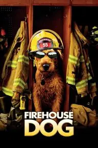 Firehouse Dog_peliplat