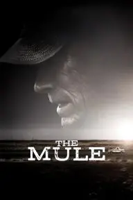 The Mule_peliplat