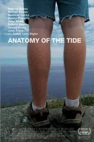 Anatomy of the Tide_peliplat