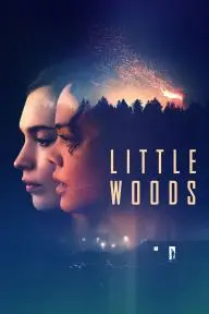 Little Woods_peliplat