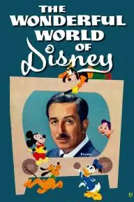 The Wonderful World of Disney_peliplat