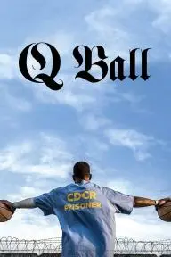 Q Ball_peliplat
