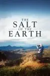 The Salt of the Earth_peliplat