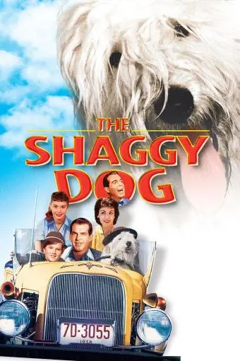 The Shaggy Dog_peliplat