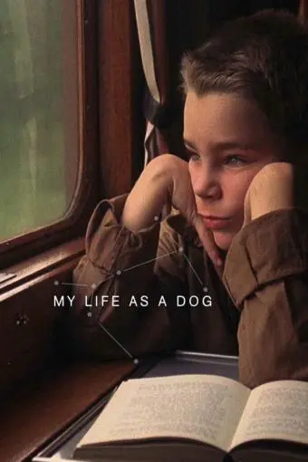 My Life as a Dog_peliplat