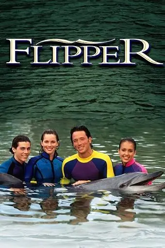 Flipper_peliplat