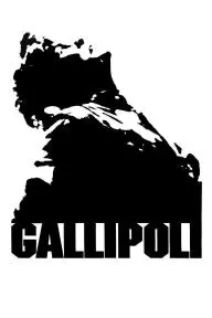Gallipoli_peliplat