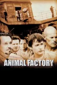 Animal Factory_peliplat