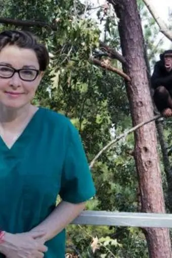Sue Perkins and the Chimp Sanctuary_peliplat