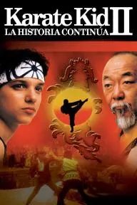 Karate Kid II: La historia continúa..._peliplat