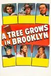 A Tree Grows in Brooklyn_peliplat