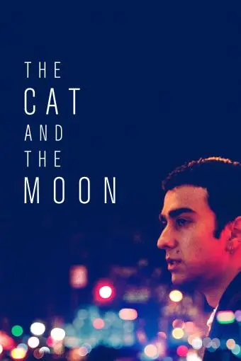 The Cat and the Moon_peliplat