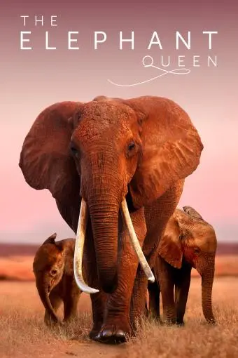 The Elephant Queen_peliplat