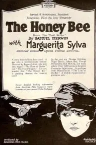 The Honey Bee_peliplat