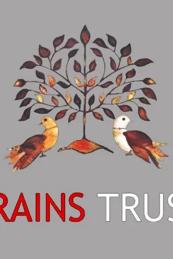 Brains Trust_peliplat